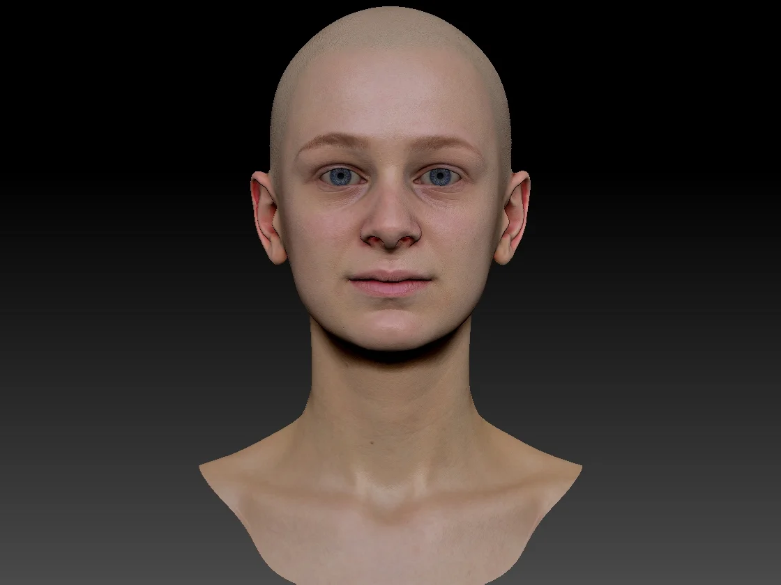 Human heads and FACS scans Render